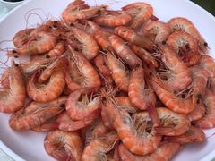白灼大明虾-海鲜e族(马王堆店)