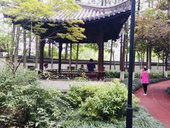 -瀛洲公园