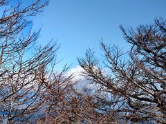 -富士山吉田線五合目