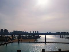 -五缘湾游艇帆船俱乐部