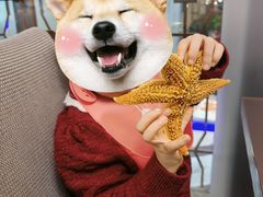 -天宇菲尔德·花园西餐厅·海鲜自助餐