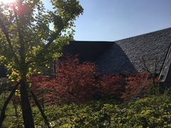 -黎坪国家森林公园