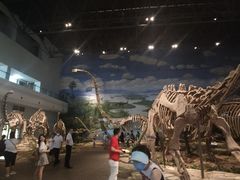 -自贡恐龙博物馆