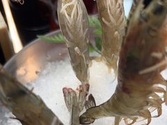 -王家渡火锅店(棕榈泉店)