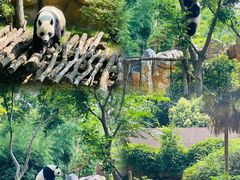 -扬州市茱萸湾风景区
