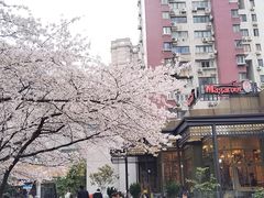 -玛格萝妮比萨屋(四平店)