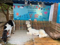 -佟小曼手工茶饼坊(鼓浪屿1店)