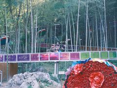 -杭州灵山景区
