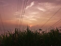 -小南山公园