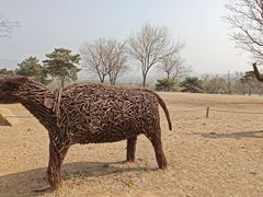 -北京西山国家森林公园