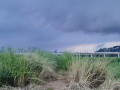 -光明小镇欢乐田园