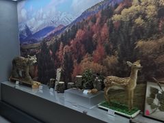 -青藏高原野生动物园