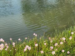 -良渚古城遗址公园