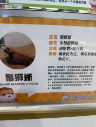 -小象动悟公园(龙湖亦庄天街店)