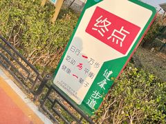 -大兴滨河森林公园