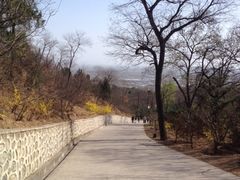 -北京鹫峰国家森林公园