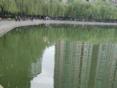 -团结湖公园