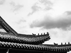 -老槐树煎包