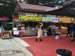 -东南花都花博园