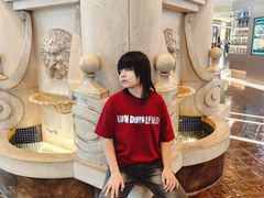 -澳门威尼斯人综合度假区