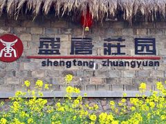 -盛唐庄园