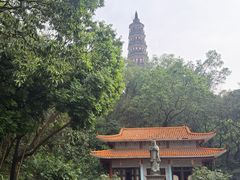 -顺峰山公园