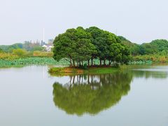-梁鸿国家湿地公园