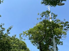 -白塘生态植物园