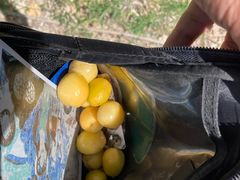 -拜城克孜尔千佛洞-售票处