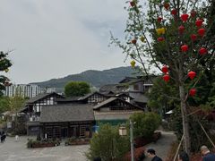 -恩阳古镇