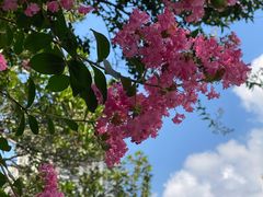 -苏州河梦清园环保主题公园