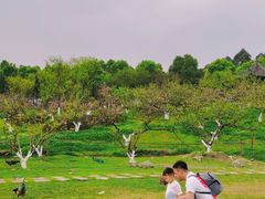 -秀丽东方
