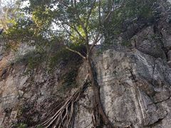 -桂林独秀峰王城景区