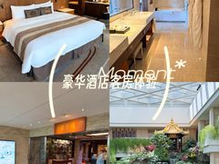 -广州白天鹅宾馆