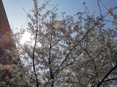 -江南大学(蠡湖校区)