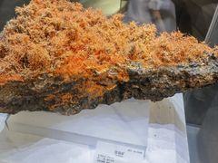 -湖南省地质博物馆