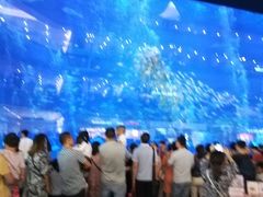 -成都浩海立方海洋公园