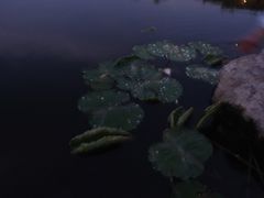 -临汾涝洰河生态公园