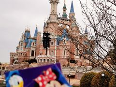 -上海迪士尼度假区