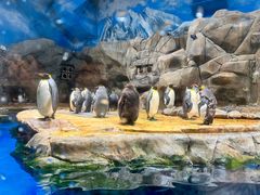 -香港海洋公园