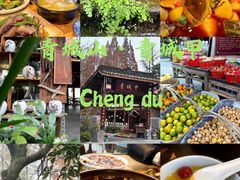 -青城甲(青城山店)