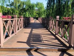 -华东政法大学(松江校区)