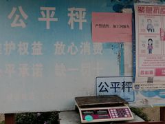-大湾区中央湿地公园-十九涌