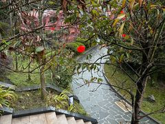 -中铁花水湾四季温泉谷