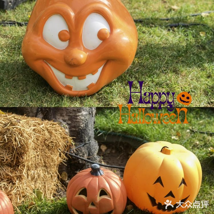 SOLANA万圣节🎃