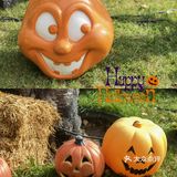 SOLANA万圣节🎃