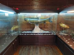 -南京金牛湖风景区