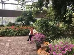 -南通洲际绿博园