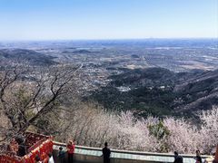-香山公园