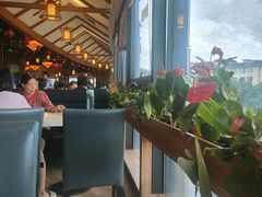 -粤点越有·茶点·粤菜(樵岭国际店)